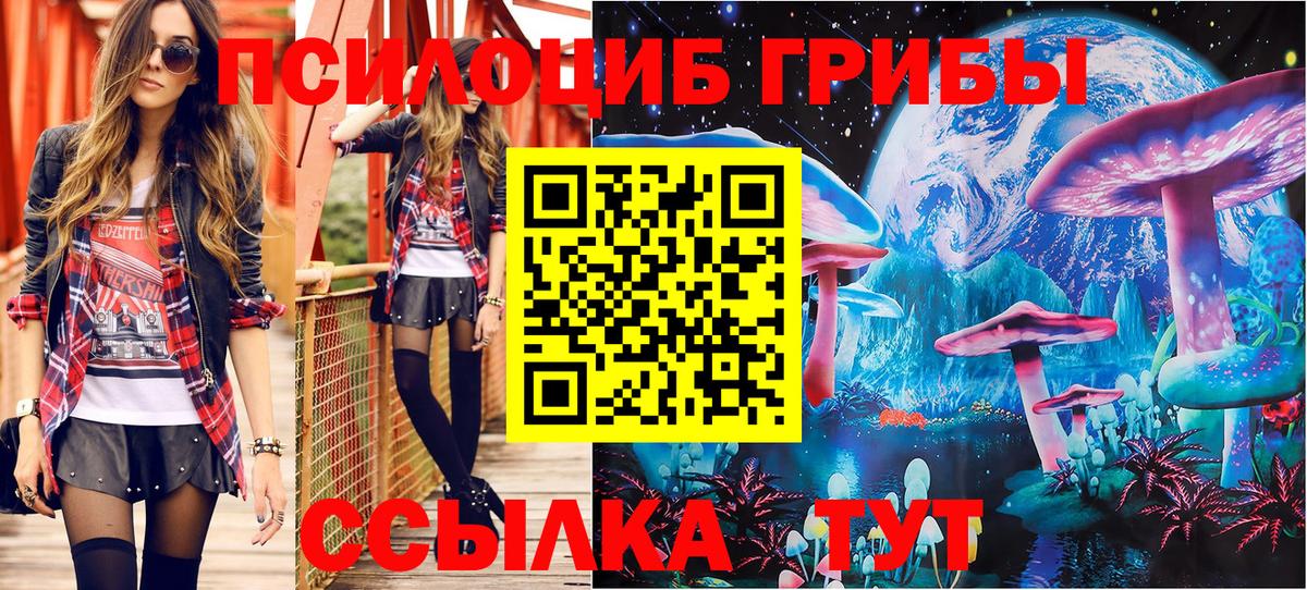 Псилоцибиновые грибы Magic Shrooms Карталы